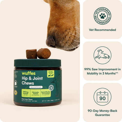 Hip & Joint Chews